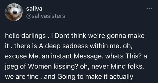 A text post by salivasisters: "hello darlings . i Dont think we're gonna make it . there is A deep sadness with me. oh, excuse Me. an instant Message. whats This? a jpeg of Women kissing? oh, never Mind folks. we are fine , and Going to make it actually"