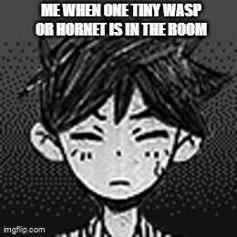 a boy with his eyes shut tight. he is afraid. The caption reads "Me when one tiny wasp or hornet is in the room."