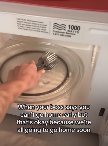 A photo of someone placing a handful of forks into a microwave with the caption “When your boss says you can't go home early but that's okay because were all going to go home soon”